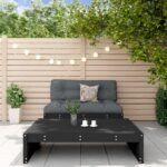 2-delige Loungeset met kussens massief hout zwart